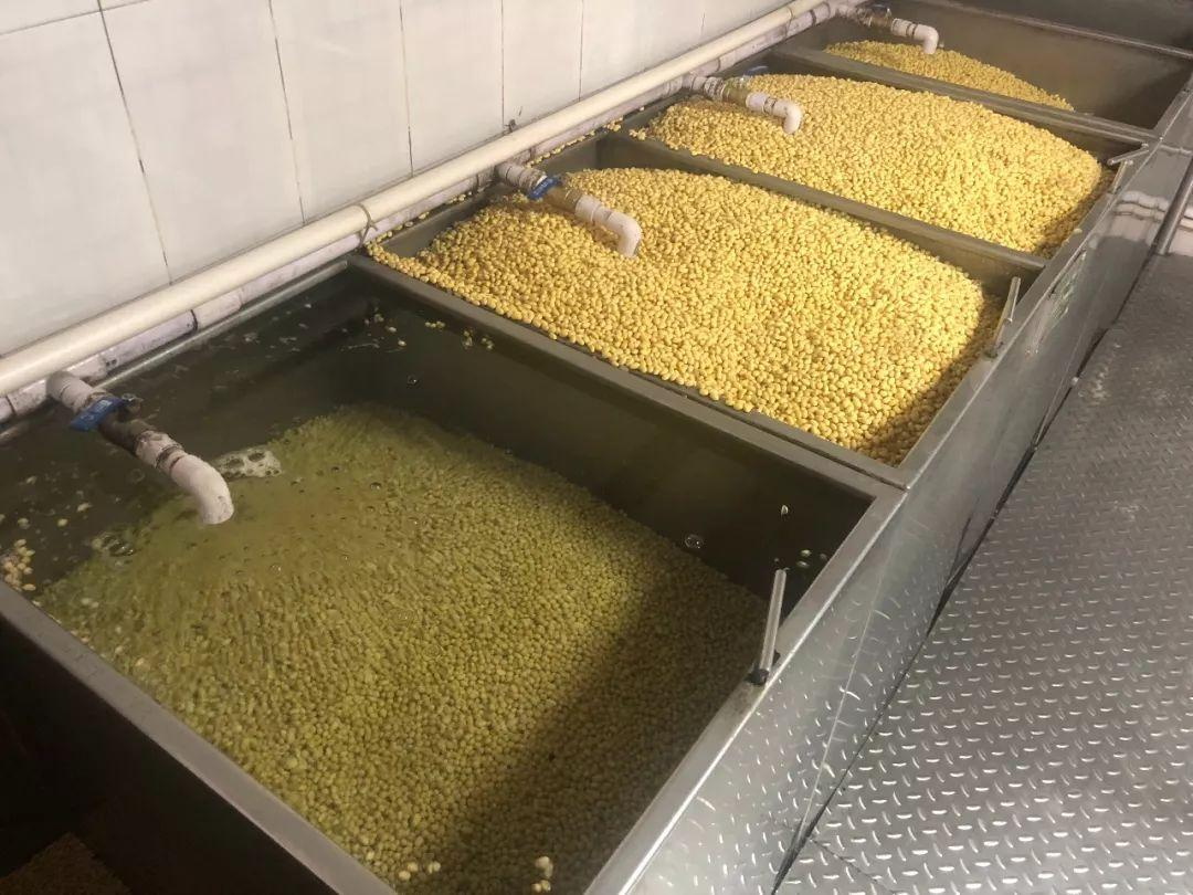 豆制品加工廠污水處理 豆制品加工廠污水處理