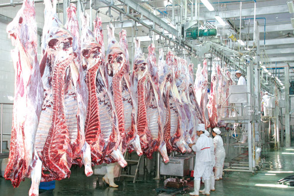 屠宰廢水處理方法有哪些？屠宰廢水處理設(shè)備價(jià)格分享