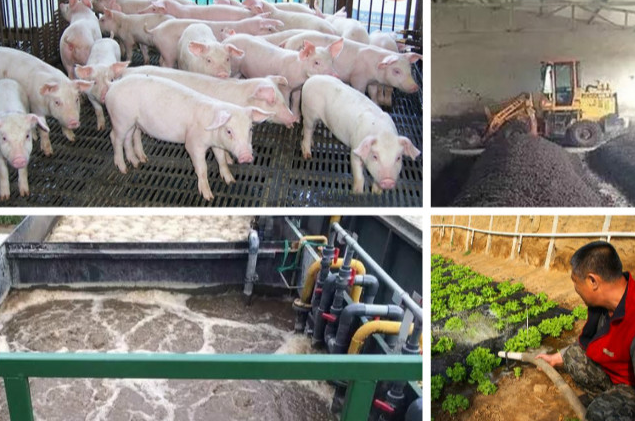 養(yǎng)殖污水處理一體設(shè)備多少錢？養(yǎng)殖污水處理方法