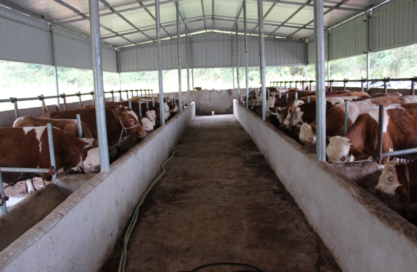 養(yǎng)殖場(chǎng)污水處理方法，養(yǎng)殖污水處理設(shè)備的用途講解02