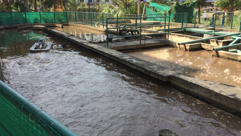 食品加工污水處理流程有哪些？如何更好的處理食品廢水？