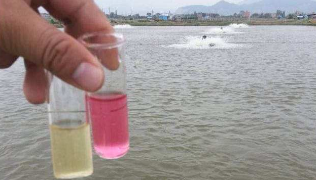 科普幾個生活污水氨氮超標(biāo)的處理方法 科普幾個生活污水氨氮超標(biāo)的處理方法