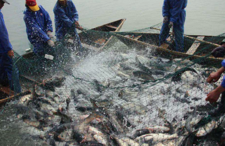 水產(chǎn)養(yǎng)殖污水成分詳細介紹，一起來學習吧