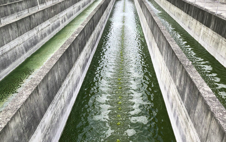 通過投入使用來減少?gòu)U水的成本