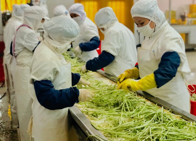 三種食品污水處理設備工藝流程，看看哪種適合您？