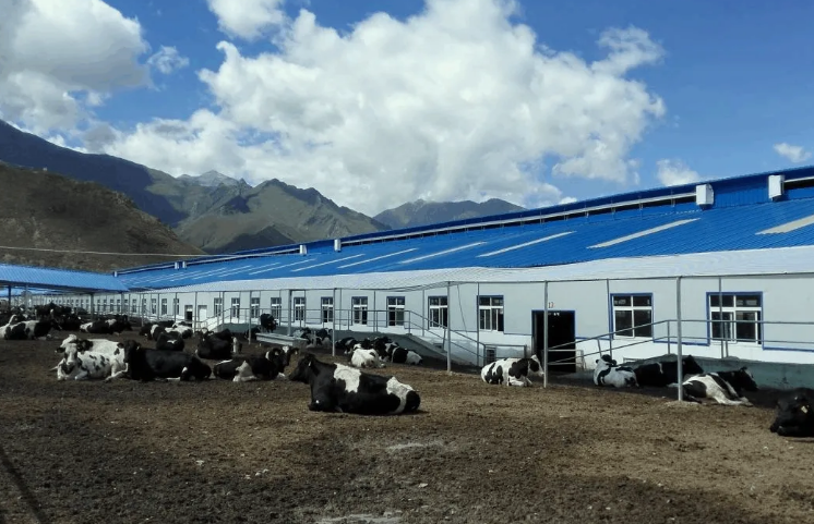 100多頭豬養(yǎng)殖廢水處理方法，用這兩種方法投入低、輕松達(dá)標(biāo)！